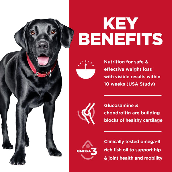 Hill's Science Diet Adult Large Breed Perfect Weight & Joint Support Chicken & Brown Rice Dry Dog Food