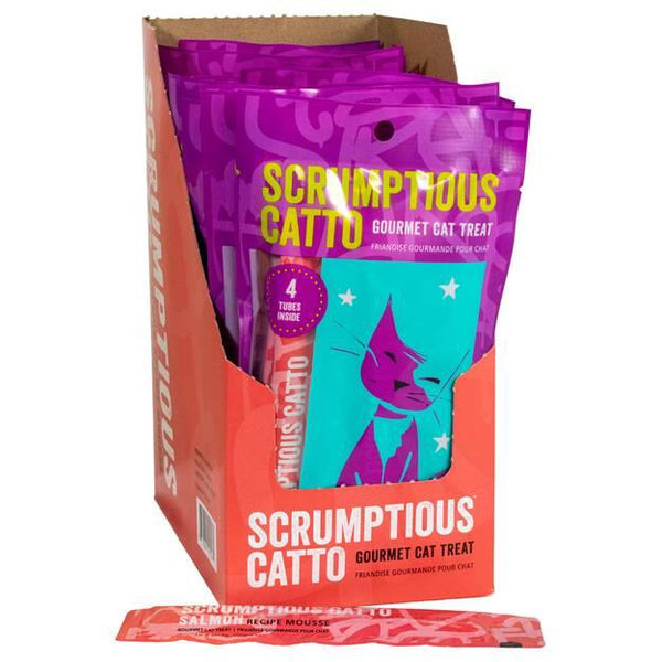 Scrumptious Catto Mousse recette saumon pour chats