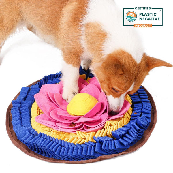 PawzNDogz Tapis à flairer Divine Lotus Anti-Morsure Niveau 3 pour chien