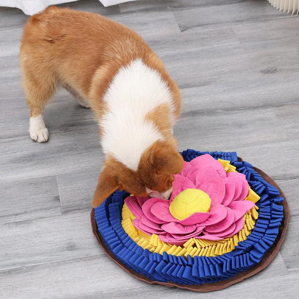 PawzNDogz Tapis à flairer Divine Lotus Anti-Morsure Niveau 3 pour chien