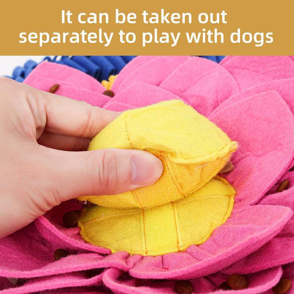 PawzNDogz Tapis à flairer Divine Lotus Anti-Morsure Niveau 3 pour chien
