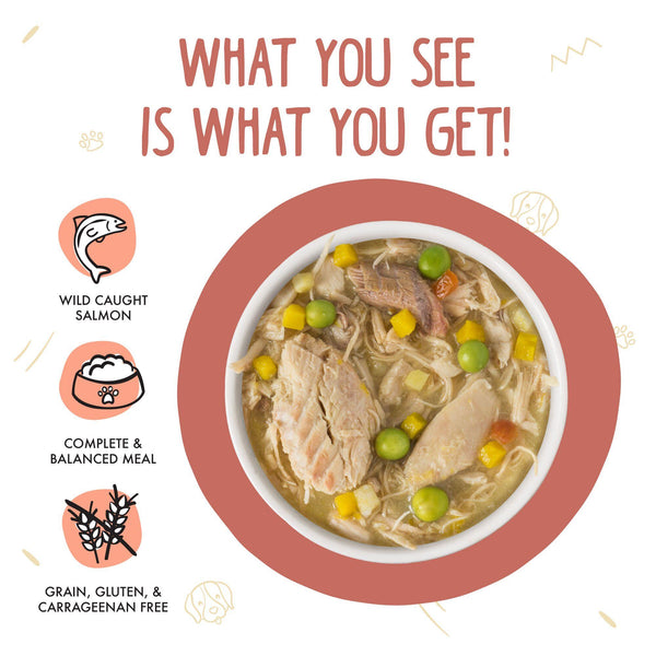 Weruva Classic Dog Jammin' Salmon with Chicken & Salmon in Pumpkin Soup Wet Dog Food Can
