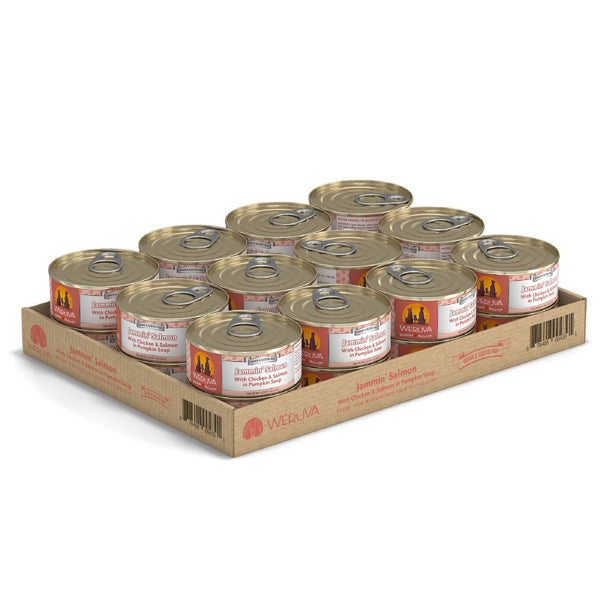Weruva Classic Dog Jammin' Salmon with Chicken & Salmon in Pumpkin Soup Wet Dog Food Can