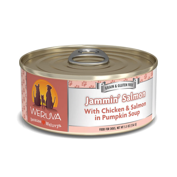 Weruva Classic Dog Jammin' Salmon with Chicken & Salmon in Pumpkin Soup Wet Dog Food Can