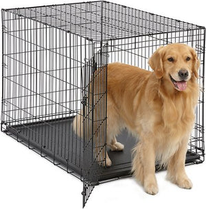 MidWest iCrate Single Door Fold & Carry Dog Crate