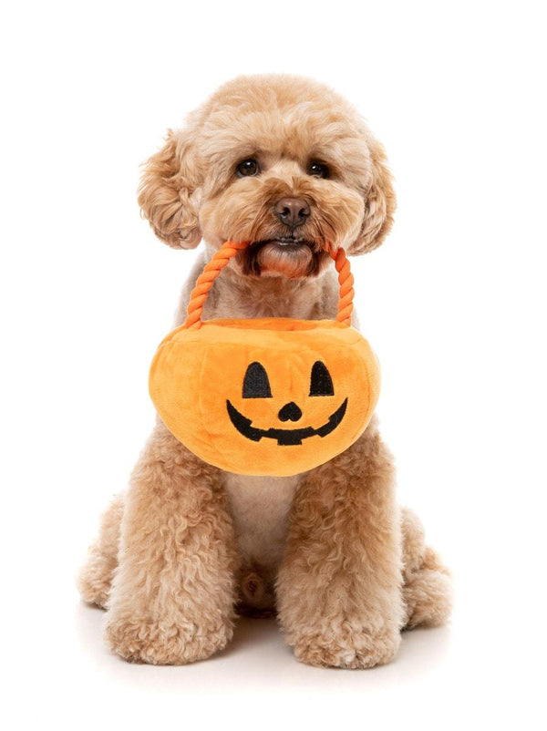 FuzzYard Panier Citrouille Trick or Treat Jouet Peluche pour Chien