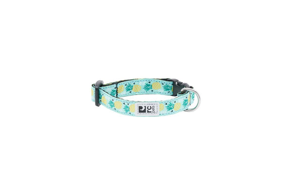 RC Pets Petite Clip Dog Collar, Pineapple Parade