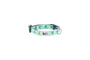 RC Pets Petite Clip Dog Collar, Pineapple Parade