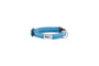 RC Pets Petite Primary Clip Dog Collar, Dark Teal