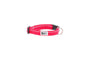 RC Pets Collier pour chien Petite Primary Clip, Azalée