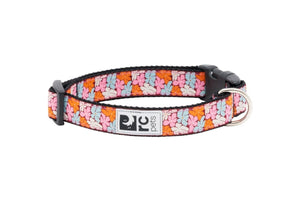 RC Pets Collier pour chien Clip, Boho