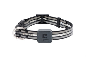 RC Pets Collier lumineux LED Nova pour chien, Noir