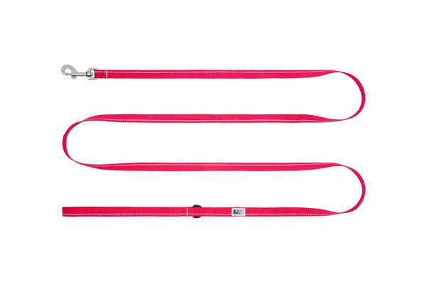 RC Pets Laisse Petite Primary pour Chien, Azalée