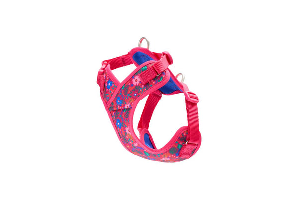 RC Pets Petite Explorer Dog Harness, Frida