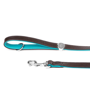 MyFamily Hermitage Genuine Leather Dog Leash, Brown/Torquoise