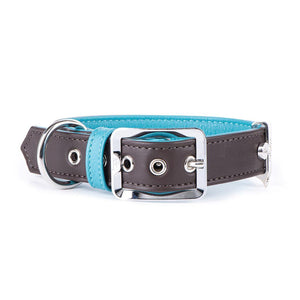 MyFamily Hermitage Genuine Leather Dog Collar, Brown/Turquoise