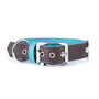 MyFamily Hermitage Genuine Leather Dog Collar, Brown/Turquoise