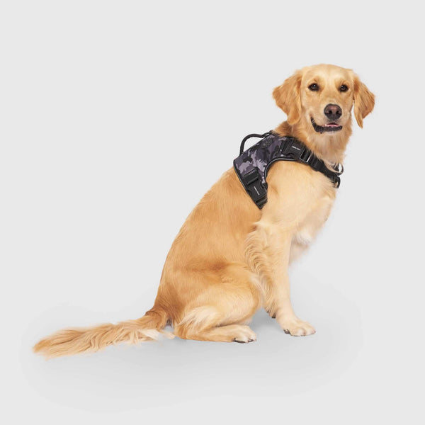 Canada Pooch Complete Control Dog Harness, Black Camo