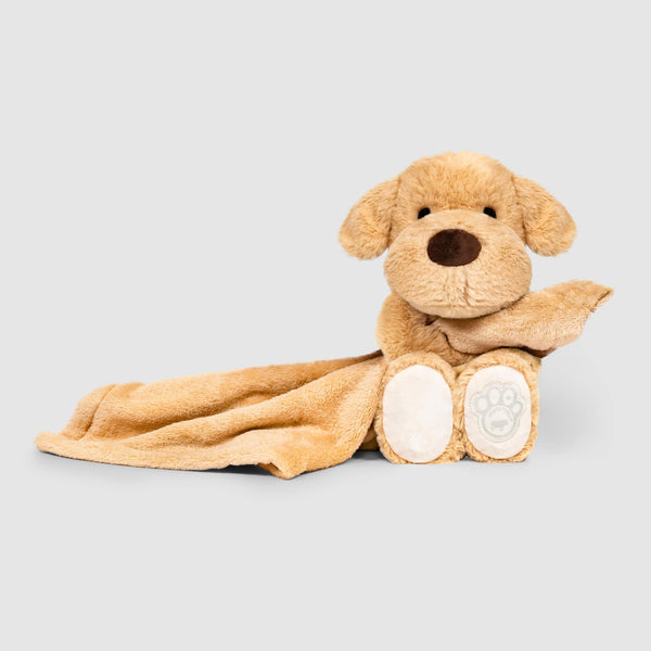 Canada Pooch Jouet apaisant lesté pour chien, chien brun