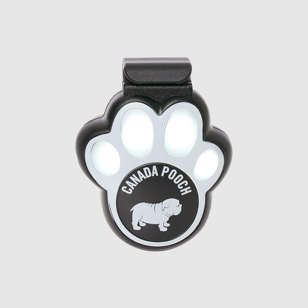 Canada Pooch Lumière de Sécurité pour Promenades de Chien