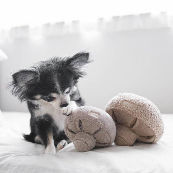 Lambwolf Collective Jouet GUU Champignon Snuffle, Avoine