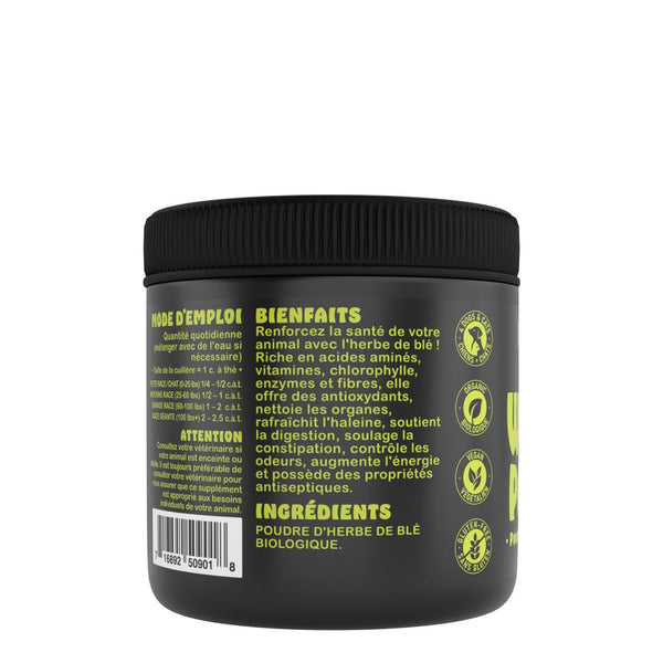 H 4 Tails Boost4Tails Poudre de Herbe de Blé Complément pour chiens et chats