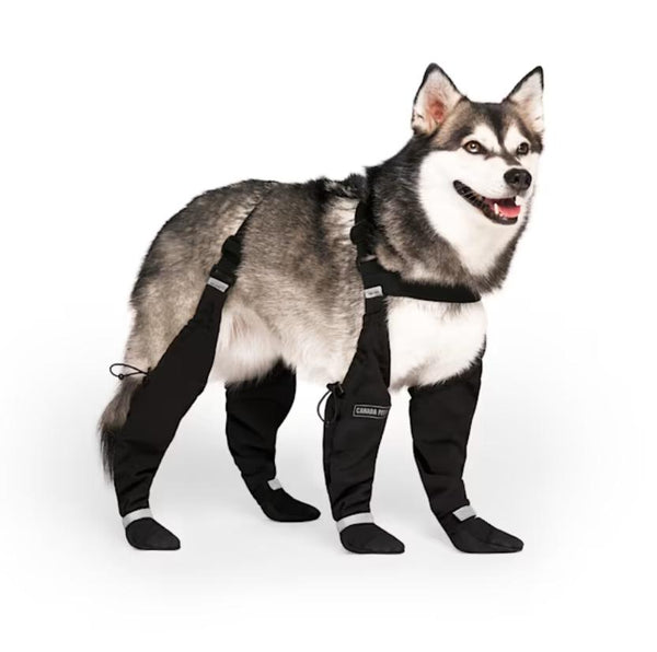 Canada Pooch Bottines Suspender pour chiens, noires