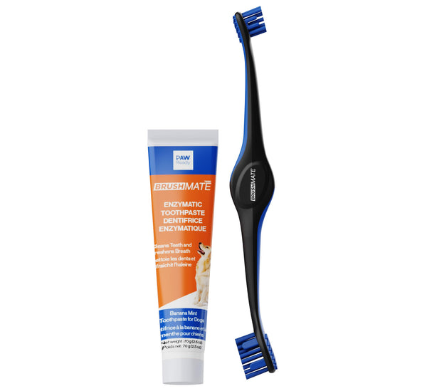 Paw Ready Brosse à Dents BrushMate Premium avec Dentifrice Saveur Banane Menthe pour Chiens