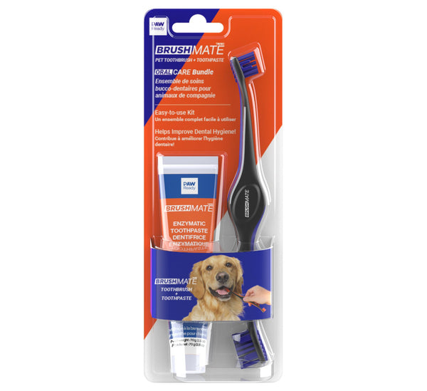 Paw Ready Brosse à Dents BrushMate Premium avec Dentifrice Saveur Banane Menthe pour Chiens