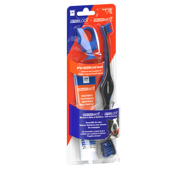 Paw Ready Brosse à Dents BrushMate Premium avec Morsure Anti-Morsure & Dentifrice Saveur Banane Menthe pour Chiens, Bleu