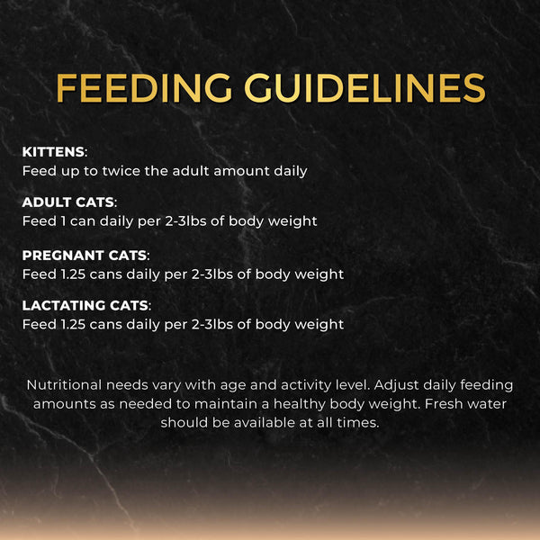 Fussie Cat Black Label Premium Tuna with Prawn in Gravy Wet Cat Food Can
