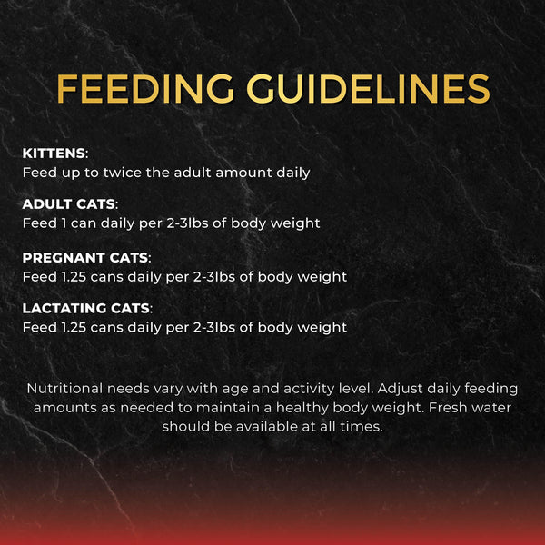 Fussie Cat Black Label Premium Tuna with Salmon in Gravy Wet Cat Food Can