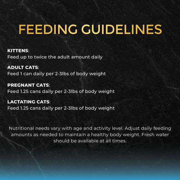Fussie Cat Black Label Premium Tuna with Small Anchovies in Gravy Wet Cat Food Can