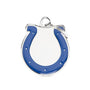 MyFamily NFL Indianapolis Colts Pet ID Tag, Medium