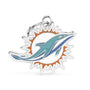 MyFamily NFL Miami Dolphins Pet ID Tag, Medium