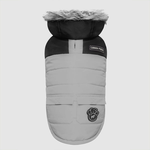 Canada Pooch Veste Parka True North pour chien, réfléchissante