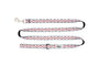 RC Pets Dog Leash, In the Clouds