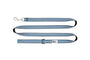 RC Pets Laisse pour chien, Rising Sun