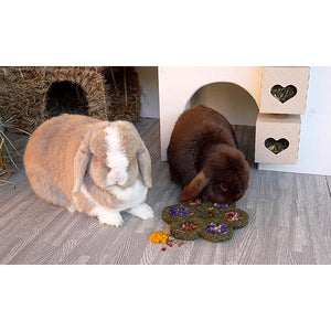 Rosewood Naturals Fleur 'n' Forage Friandises Florales pour Petits Animaux