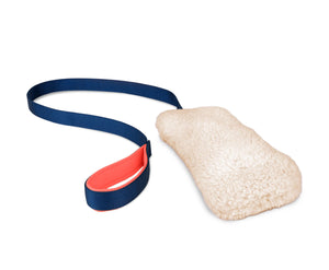 The Company of Animals Coachi Chase & Crinkle Dog Toy