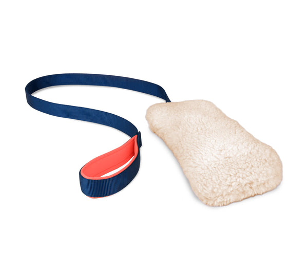 The Company of Animals Coachi Chase & Crinkle Dog Toy
