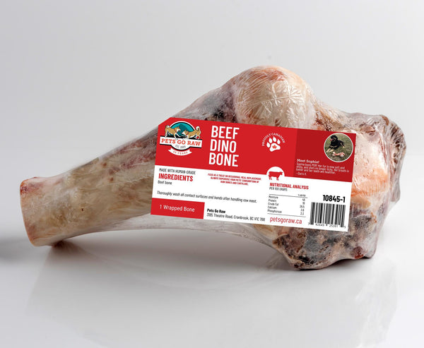 Pets Go Raw Friandises surgelées Beef Dino Bone pour chiens