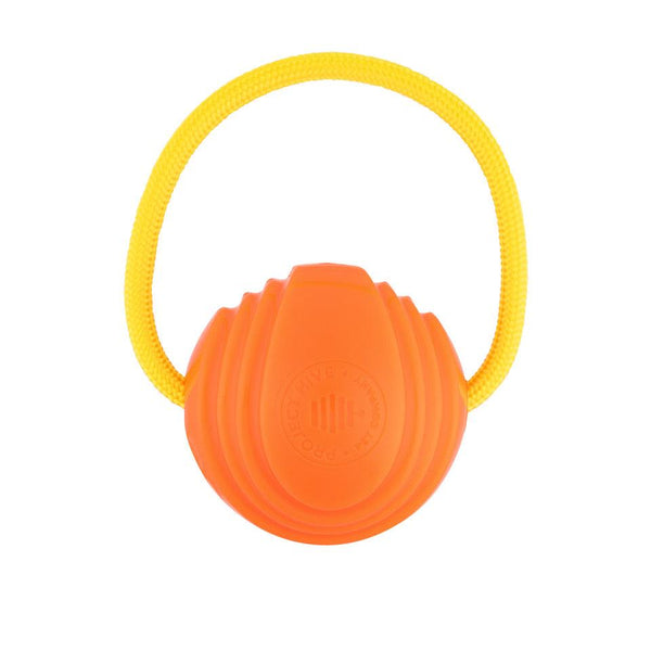 Project Hive Pet Company Balle Bouclée Zoomer Jouet pour Chiens Orange, Grand