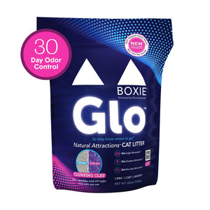 Boxiecat Glo Natural Attractions Litière agglomérante en argile pour chats