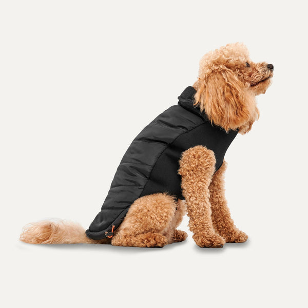 Goo-eez Veste pour chien Signature Wrap à col montant, Noir
