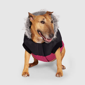 Canada Pooch True North Parka Dog Jacket, Pink