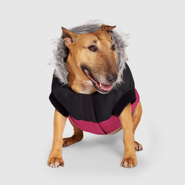 Canada Pooch True North Parka Dog Jacket, Pink