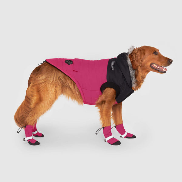 Canada Pooch True North Parka Dog Jacket, Pink