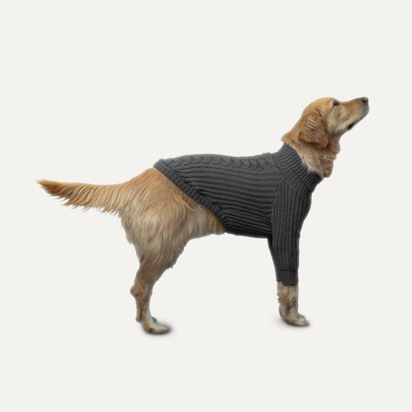 Goo-eez Pull pour chien en maille épaisse, gris
