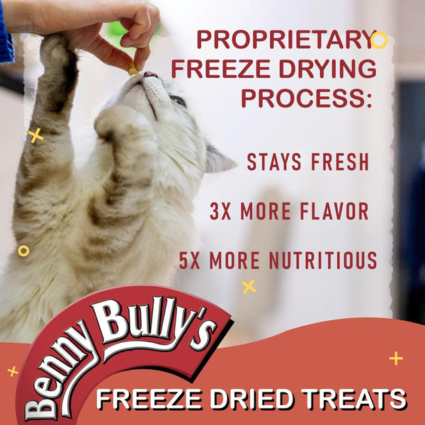 Benny Bully's Chicken Breast Chops Freeze-Dried Cat Treats